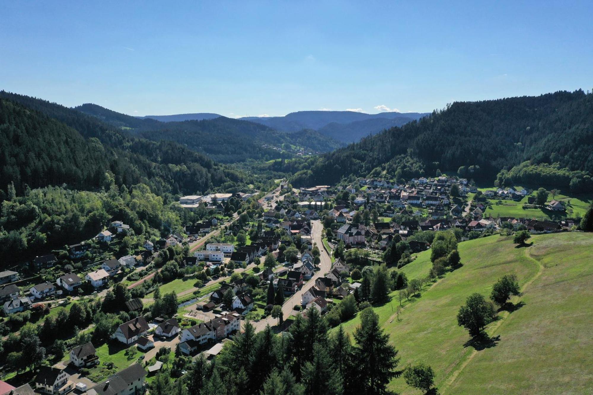 Schwarzwald Blockhaus - Sauna - Kamin - Mit Bettwaesche Und Handtuecher Schenkenzell Экстерьер фото