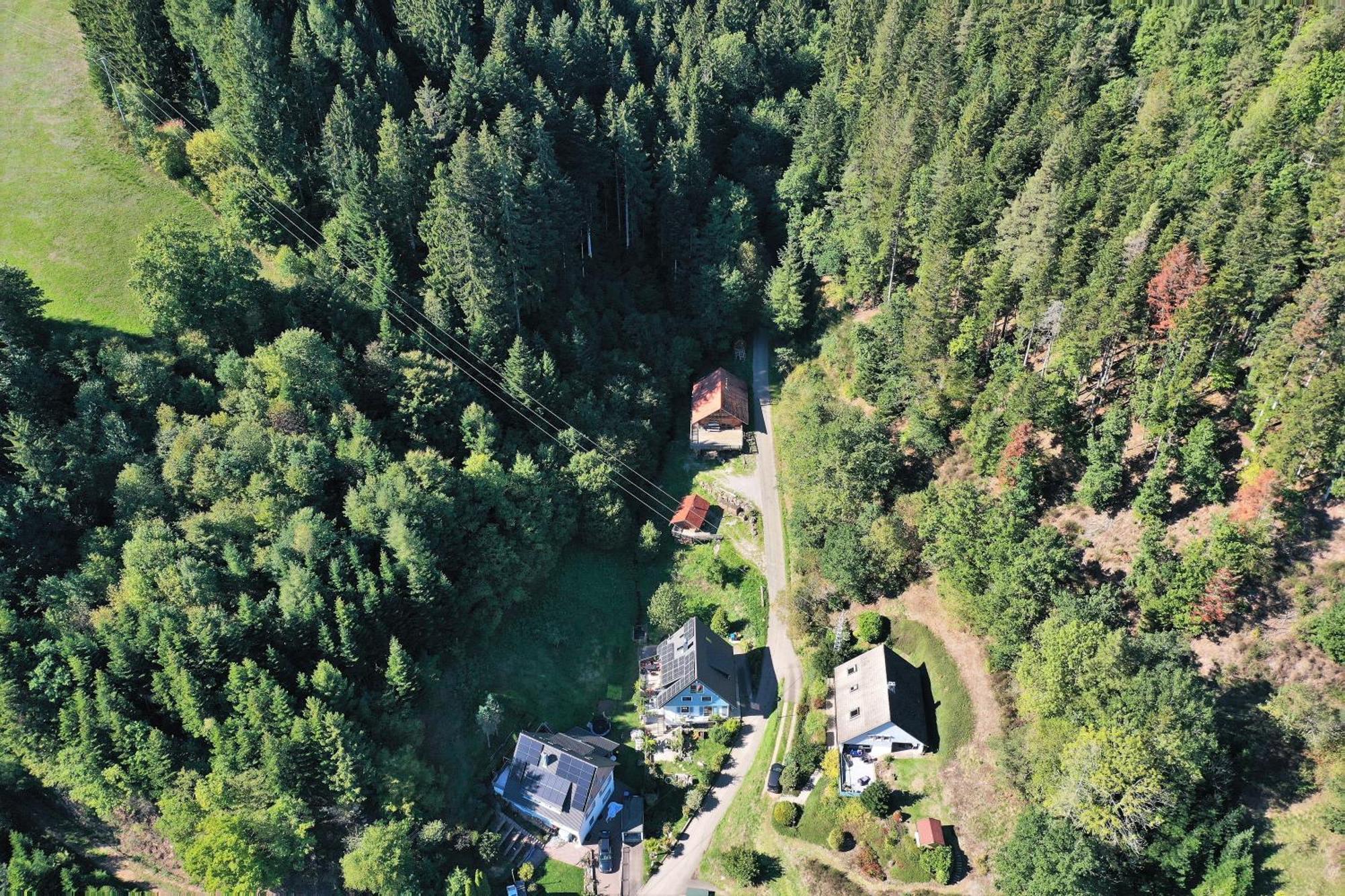 Schwarzwald Blockhaus - Sauna - Kamin - Mit Bettwaesche Und Handtuecher Schenkenzell Экстерьер фото